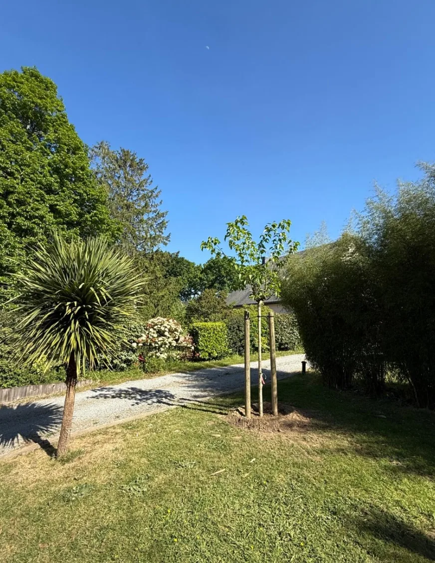 Plantation de végétaux et massifs paysagistes — MFB Paysage Nantes