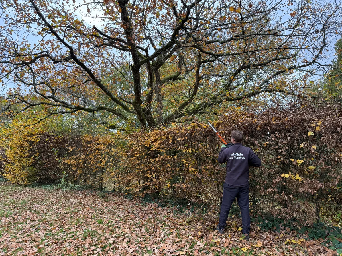 Nettoyage d'allées et terrasses haute pression — MFB Paysage Nantes